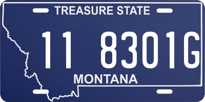 MT license plate 118301G