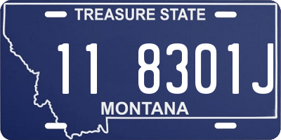 MT license plate 118301J