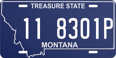 MT license plate 118301P