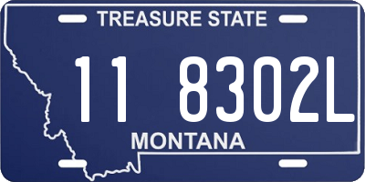 MT license plate 118302L