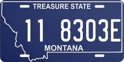 MT license plate 118303E