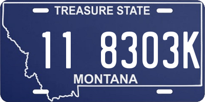 MT license plate 118303K