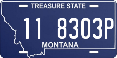 MT license plate 118303P
