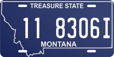 MT license plate 118306I