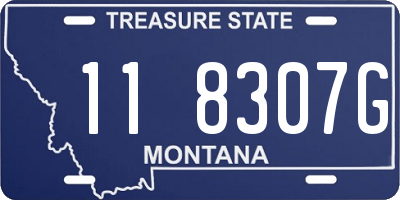 MT license plate 118307G