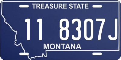MT license plate 118307J