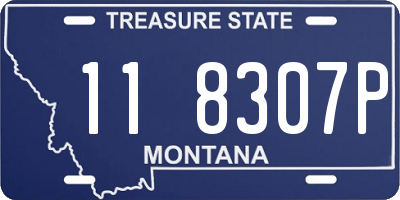 MT license plate 118307P