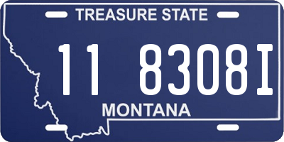 MT license plate 118308I
