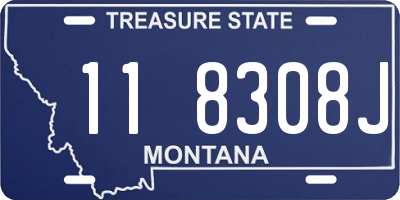MT license plate 118308J