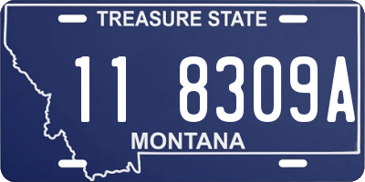 MT license plate 118309A