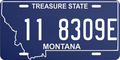 MT license plate 118309E