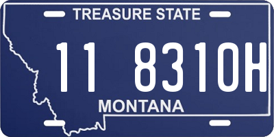 MT license plate 118310H
