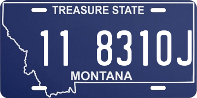 MT license plate 118310J