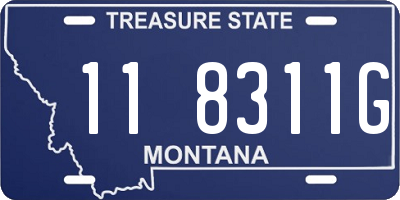 MT license plate 118311G