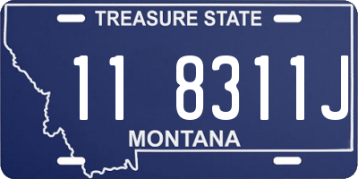 MT license plate 118311J