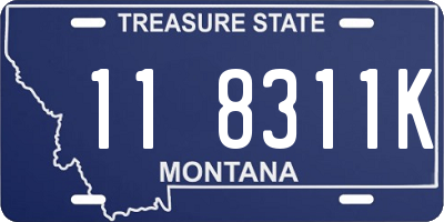 MT license plate 118311K