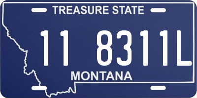 MT license plate 118311L