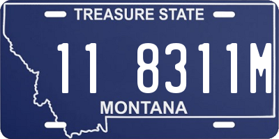 MT license plate 118311M