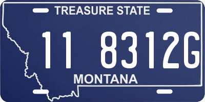 MT license plate 118312G
