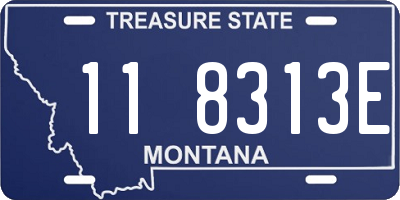MT license plate 118313E