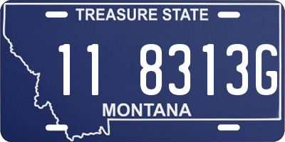 MT license plate 118313G