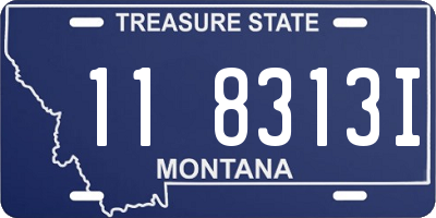 MT license plate 118313I