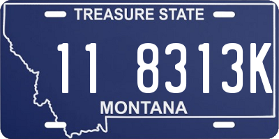 MT license plate 118313K