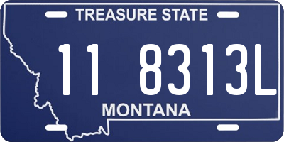 MT license plate 118313L