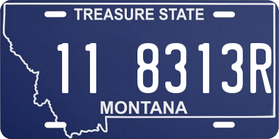 MT license plate 118313R