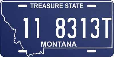 MT license plate 118313T