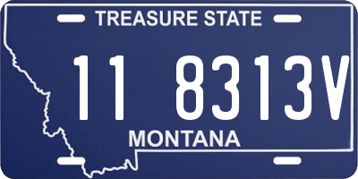 MT license plate 118313V