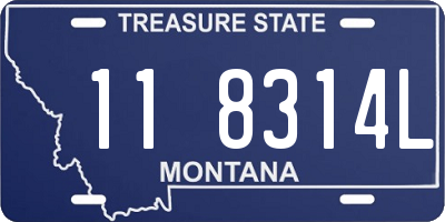 MT license plate 118314L