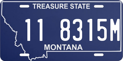 MT license plate 118315M