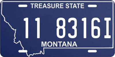 MT license plate 118316I