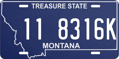 MT license plate 118316K