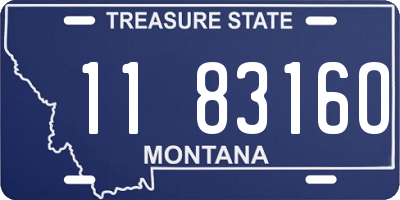 MT license plate 118316O