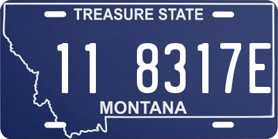 MT license plate 118317E