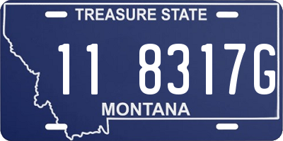 MT license plate 118317G