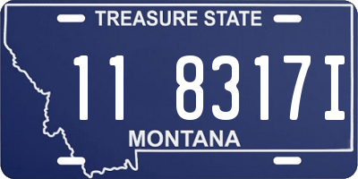 MT license plate 118317I