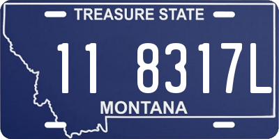 MT license plate 118317L