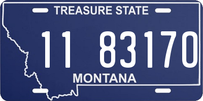 MT license plate 118317O