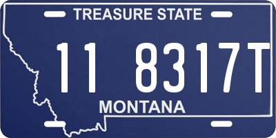 MT license plate 118317T