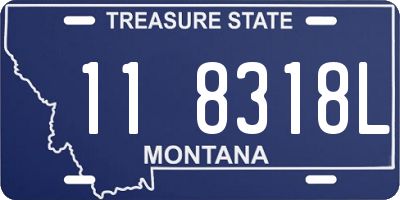 MT license plate 118318L