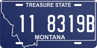 MT license plate 118319B