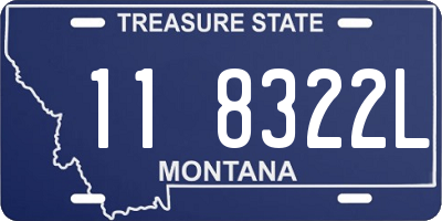 MT license plate 118322L