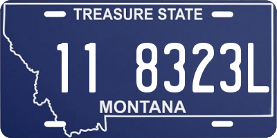MT license plate 118323L