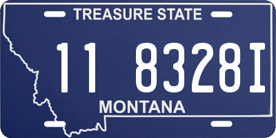 MT license plate 118328I