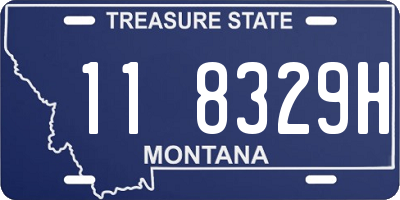 MT license plate 118329H