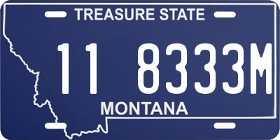 MT license plate 118333M