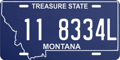 MT license plate 118334L